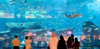 Dubai Mall снова признан самым посещаемым торговым центром в мире Самый большой аквариум в мире - Dubai MAll