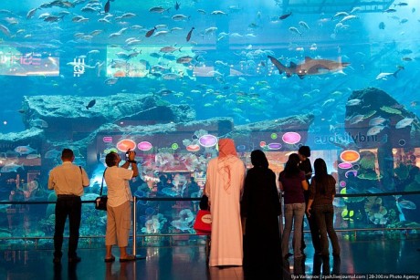 Самый большой аквариум в мире - Dubai MAll