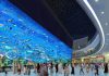 Dubai Mall (Дубай Молл) Dubai Mall (Дубай Молл)