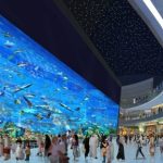 Dubai Mall (Дубай Молл)