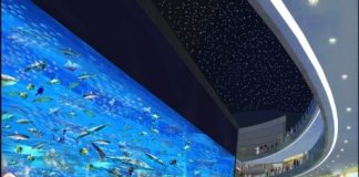 Dubai Mall (Дубай Молл)