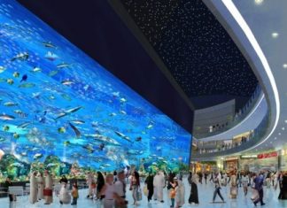 Dubai Mall (Дубай Молл) Dubai Mall (Дубай Молл)