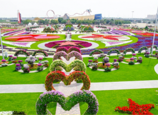 В Дубае открылся уникальный цветочный парк Dubai Miracle Garden