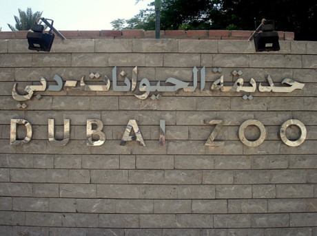 Дубайский зоопарк