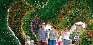 В Дубаи создается «исламский» ботанический сад Сад в Дубаи