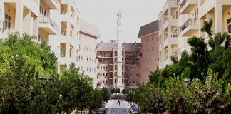 Жители Дубая выбрали лучший для жизни район