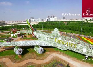 Самая большая в мире цветочная инсталляция в виде самолета