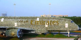 Самолет из цветов в Дубае попал в Книгу рекордов Гиннесса