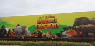 Осенью в Дубае откроют сафари-зоопарк