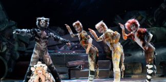 Видео: «Кошки» в Дубае