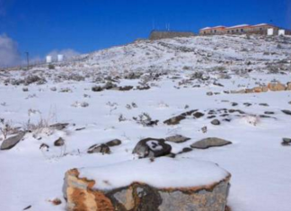 Видео: В ОАЭ выпал снег