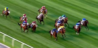 Дорогой шик: скачки в Дубае скачки в Дубае