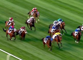 Дорогой шик: скачки в Дубае скачки в Дубае