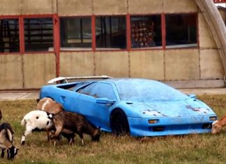 Кладбище заброшенных суперкаров: Ferrari, Porsche и BMW кладбище заброшенных суперкаров