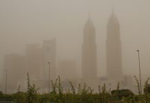 В ближайшие дни в ОАЭ ожидаются пылевые бури