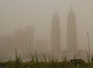 В ближайшие дни в ОАЭ ожидаются пылевые бури