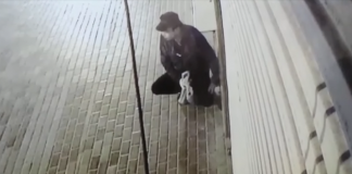 Видео: Полиции Дубая потребовалось менее суток для задержания банды грабителей