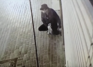 Видео: Полиции Дубая потребовалось менее суток для задержания банды грабителей