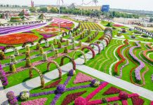 Парк цветов и чудес в Дубае Парк цветов в Дубае