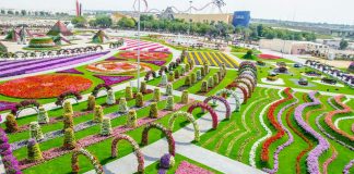 Парк цветов и чудес в Дубае Парк цветов в Дубае