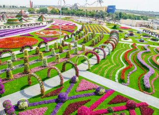 Парк цветов и чудес в Дубае Парк цветов в Дубае