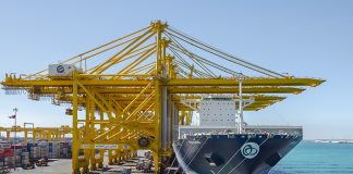 Видео: В Дубае рухнул громадный портовый кран