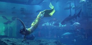 Видео: Шоу русалок в Дубае