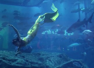 Видео: Шоу русалок в Дубае