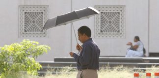 Жителям Дубая предоставят бесплатные зонтики для борьбы с жарой