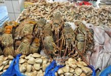 Рыбный калейдоскоп Дейры