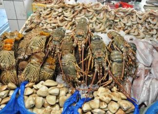 Рыбный калейдоскоп Дейры