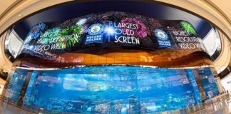 В Дубае установлены три новых мировых рекорда