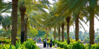 Жителей Дубая призвали поучаствовать в создании нового парка