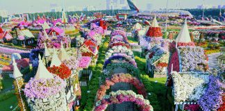 В Дубае снова открывается Miracle Garden