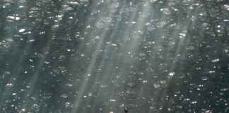 Видео: Как будет выглядеть Лувр Абу-ДабиВидео: Как будут выглядеть Лувр Абу-Даби