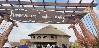 Посещение нового сафари-парка в Дубае будет бесплатным