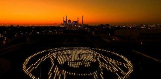 В ОАЭ создали оригинальный портрет основателя страны