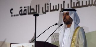 ОАЭ надеются на дальнейшее сотрудничество с Россией в энергетической сфере