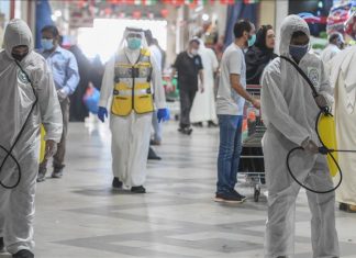 Правила путешествия в ОАЭ при COVID-19 Полет в ОАЭ коронавирус Covid-19